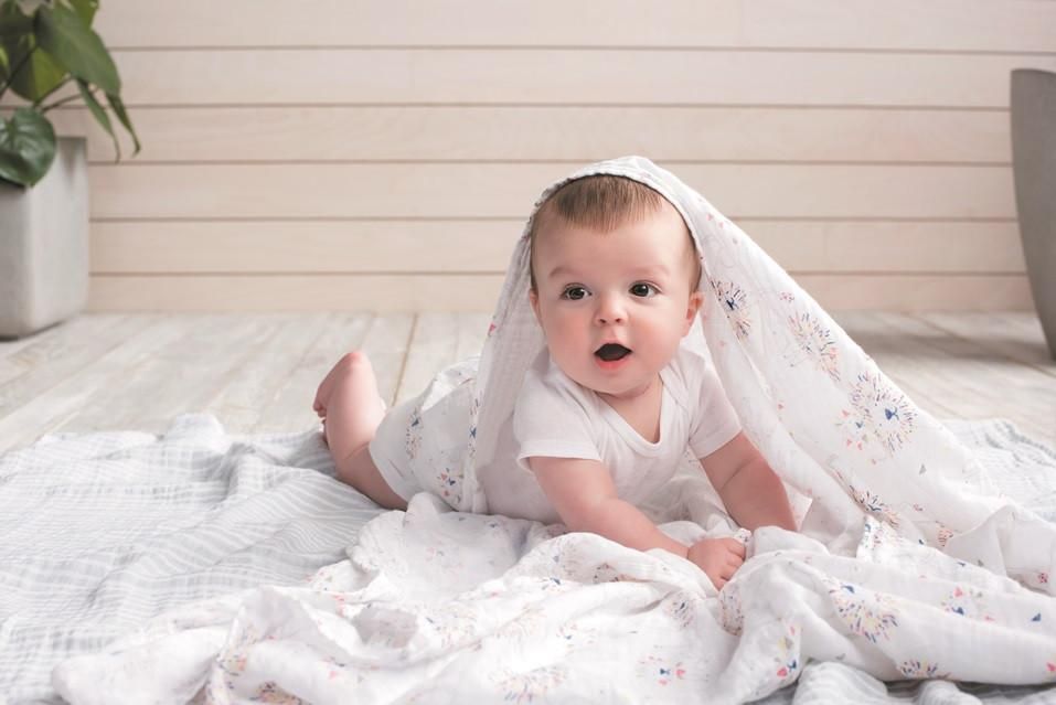 Aden Anais Leader of the Pack Classic Swaddles 4pcs Babystore.ae