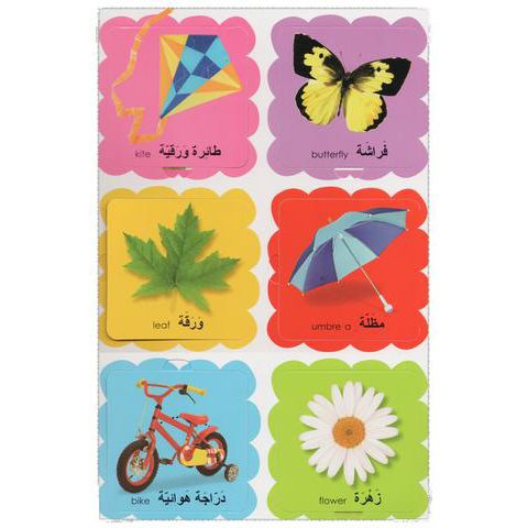 Scholastic First 100 Words Arabic and English