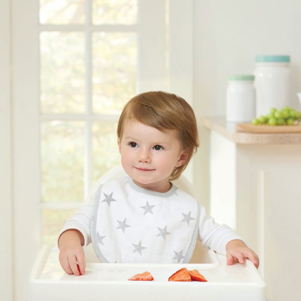 Essentials 3-Pack Classic Snap Bibs DUSTY
