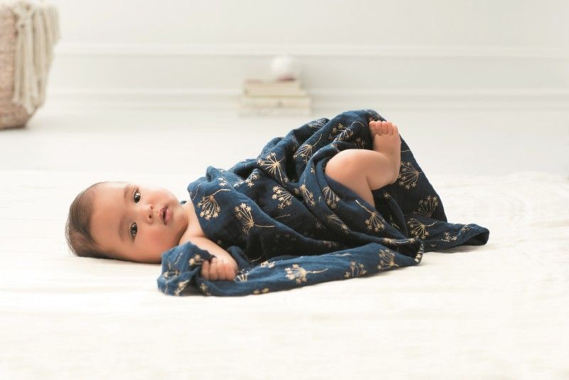 Aden hotsell anais gold