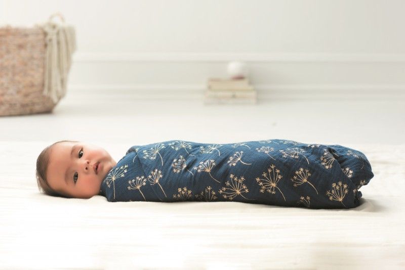 Aden and hotsell anais metallic gold