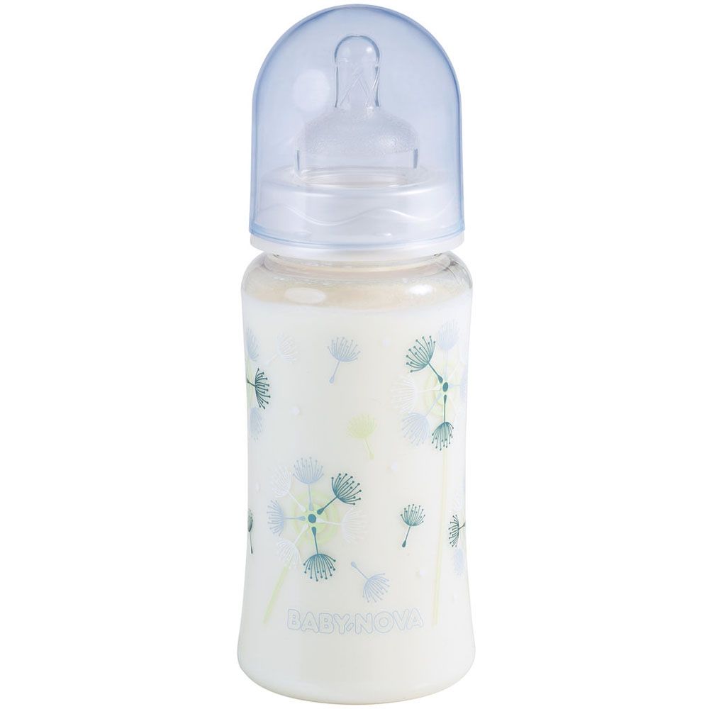 Baby Nova - Dandelion Decorated PA Feeding Bottle 300ml - Blue