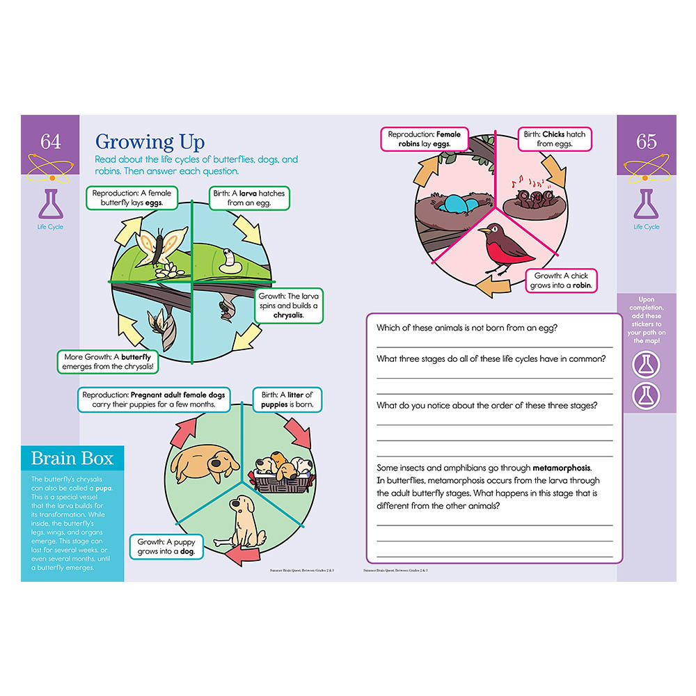 Brain Quest - Between Grades 2 & 3