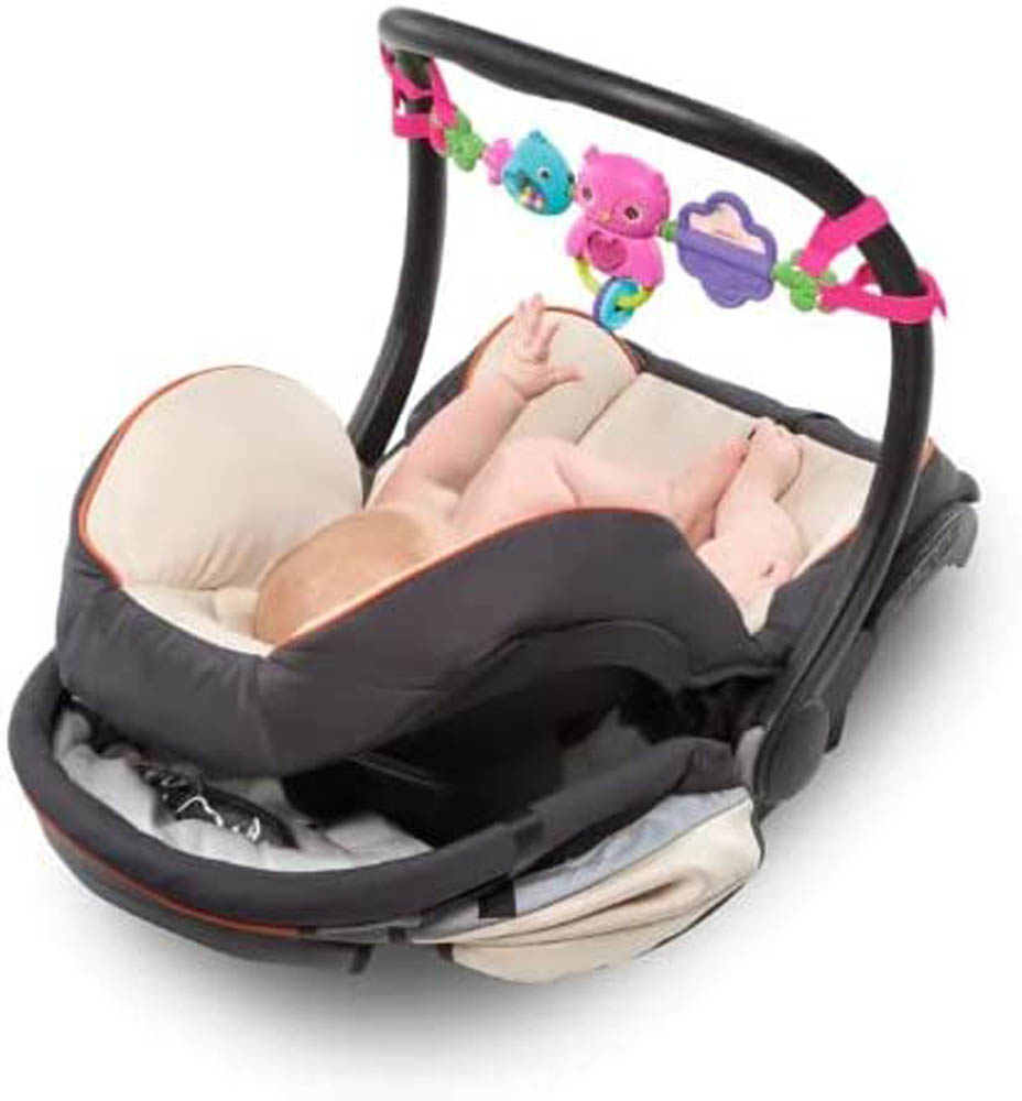 Bright Starts - Busy Birdies Carrier Toy Bar
