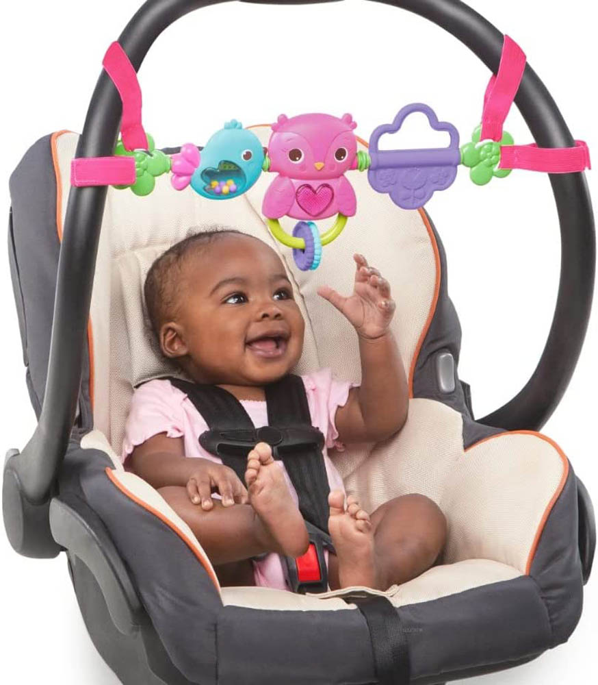 Bright Starts - Busy Birdies Carrier Toy Bar