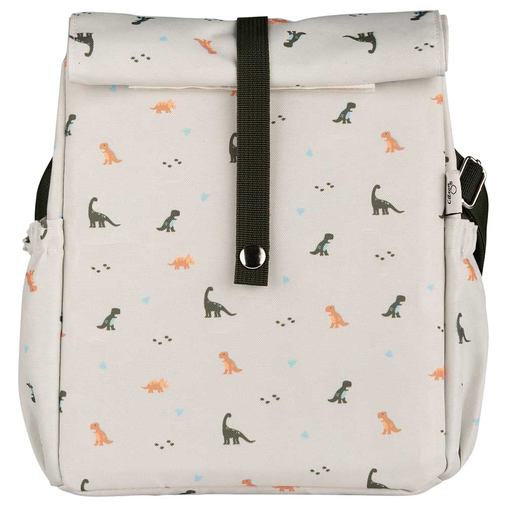 Thermal tiffin best sale bag