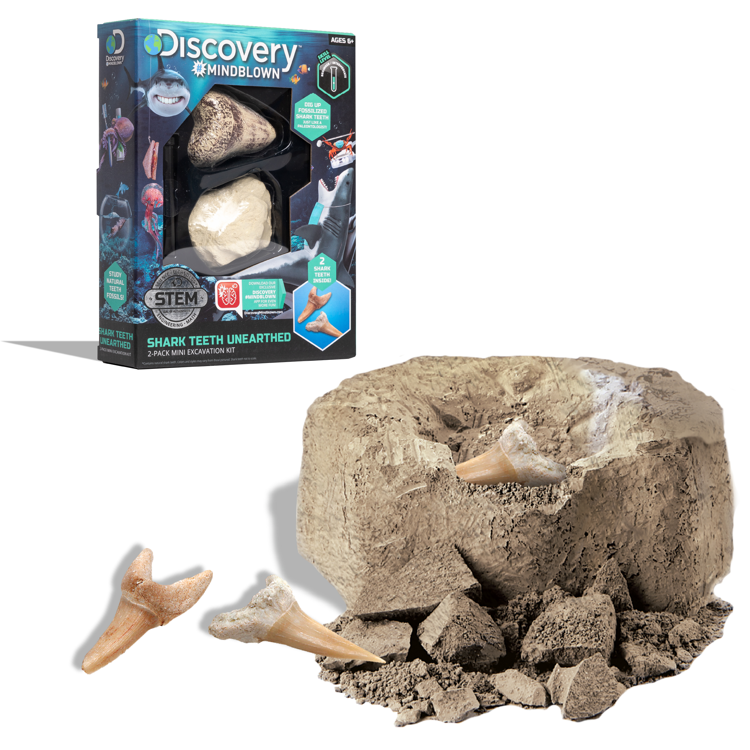 Discovery Mindblown - STEM Toy Excavation Kit Mini Shark Tooth 2pc with Chisel