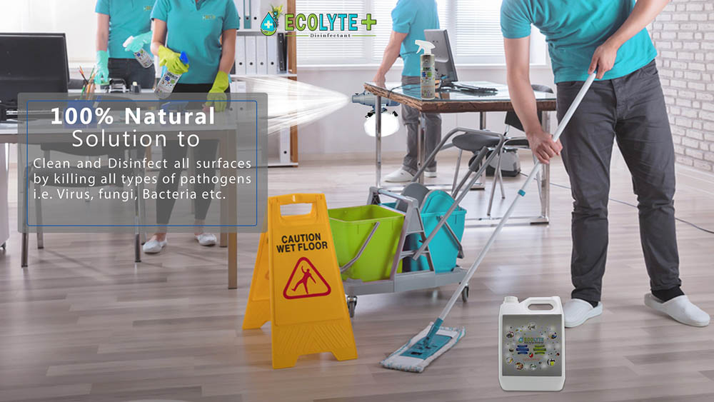 Ecolyte - Multi-Surface Disinfectant 100% Natural - 20 Litre