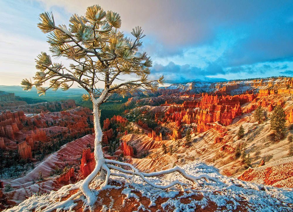 Eurographics - Winter Sunrise-1000 Pcs