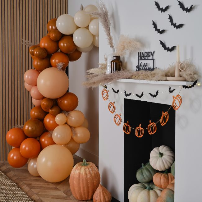 Ginger Ray - Burnt Orange Balloon Arch With Pampas