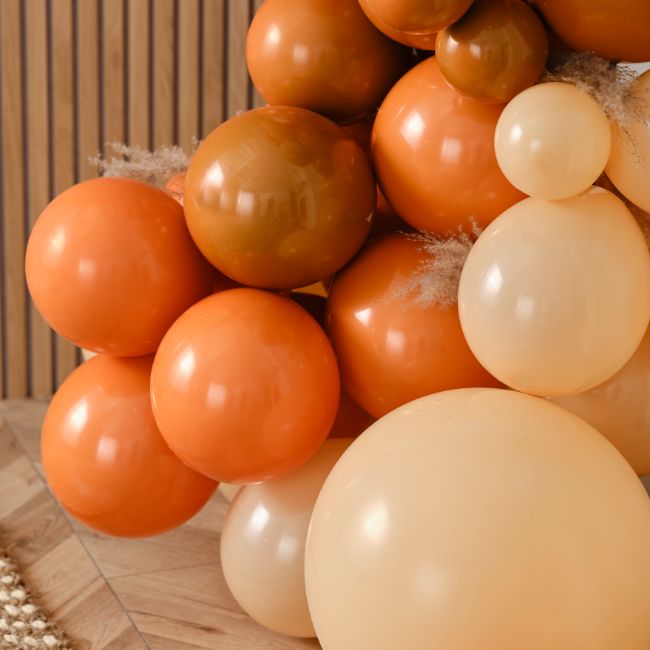 Ginger Ray - Burnt Orange Balloon Arch With Pampas