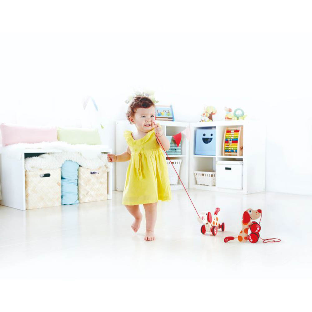 Hape - Walk-A-Long Puppy/Fsc