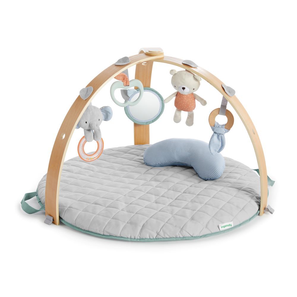 Ingenuity - Cozy Spot Reversible Duvet Activity Gym - Loamy