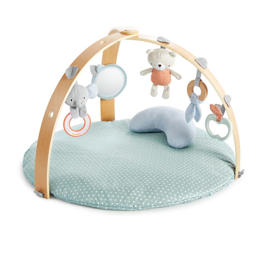 Ingenuity - Cozy Spot Reversible Duvet Activity Gym - Loamy