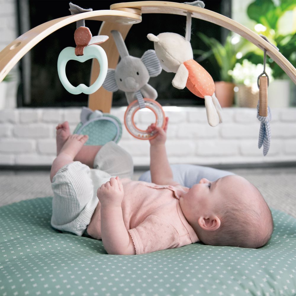 Ingenuity - Cozy Spot Reversible Duvet Activity Gym - Loamy