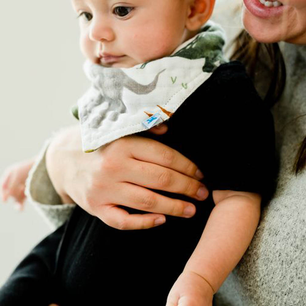 Little Unicorn - Cotton Muslin Reversible Bandana Bib - Dino Friends