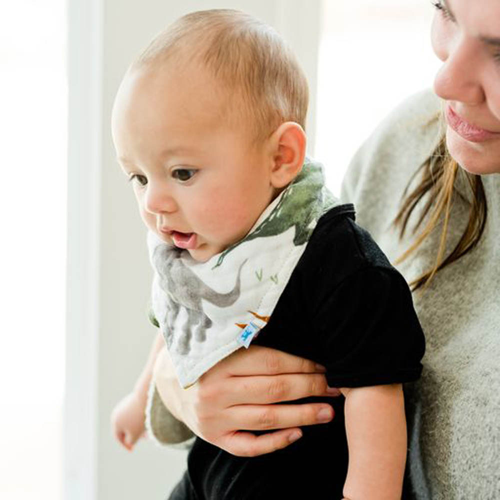 Little Unicorn - Cotton Muslin Reversible Bandana Bib - Dino Friends