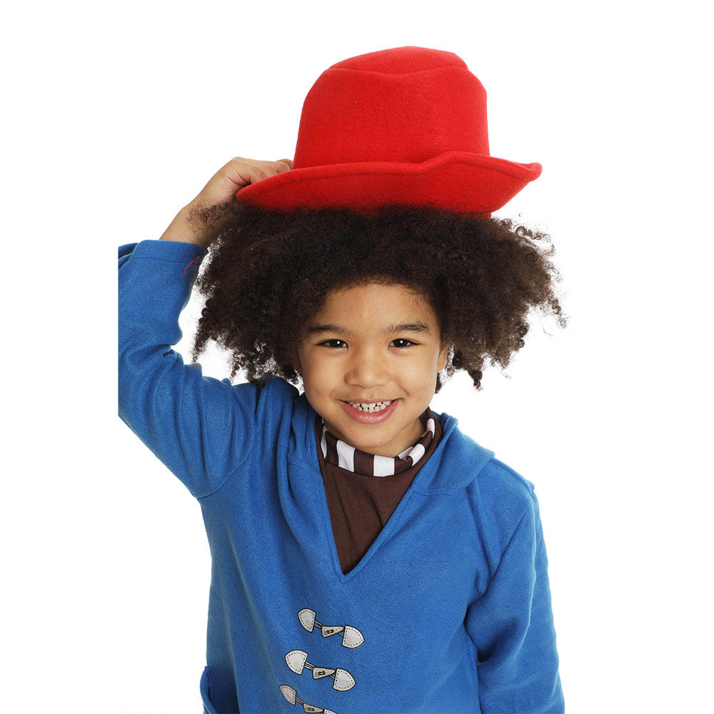 Mad Toys - Travelling Bear Book Week Costumes - Blue
