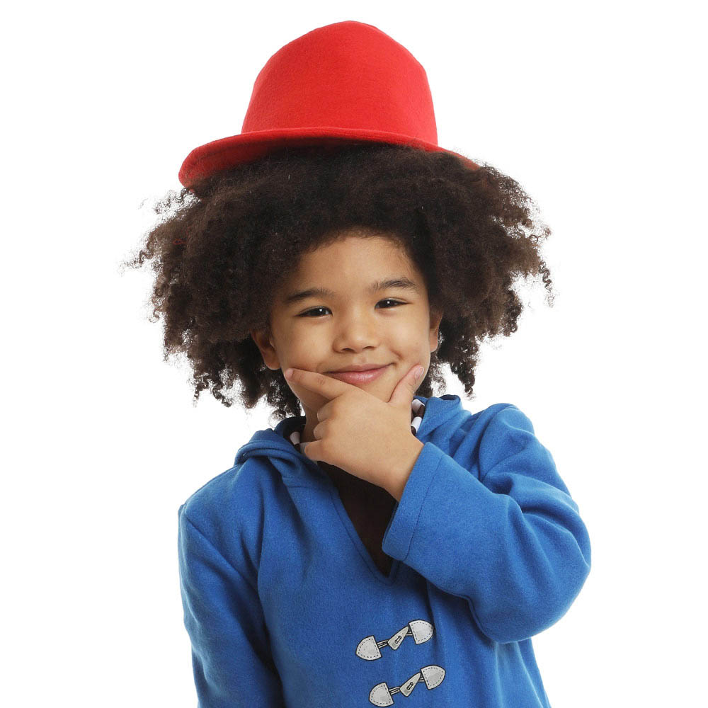Mad Toys - Travelling Bear Book Week Costumes - Blue