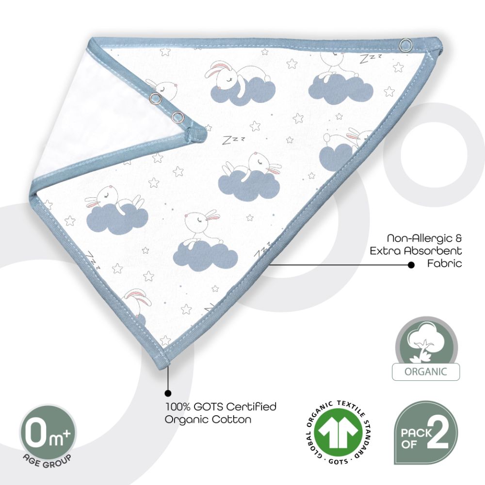 Moon - Organic Muslin Bibs Pack of 2 - Bunny & Blue stripes