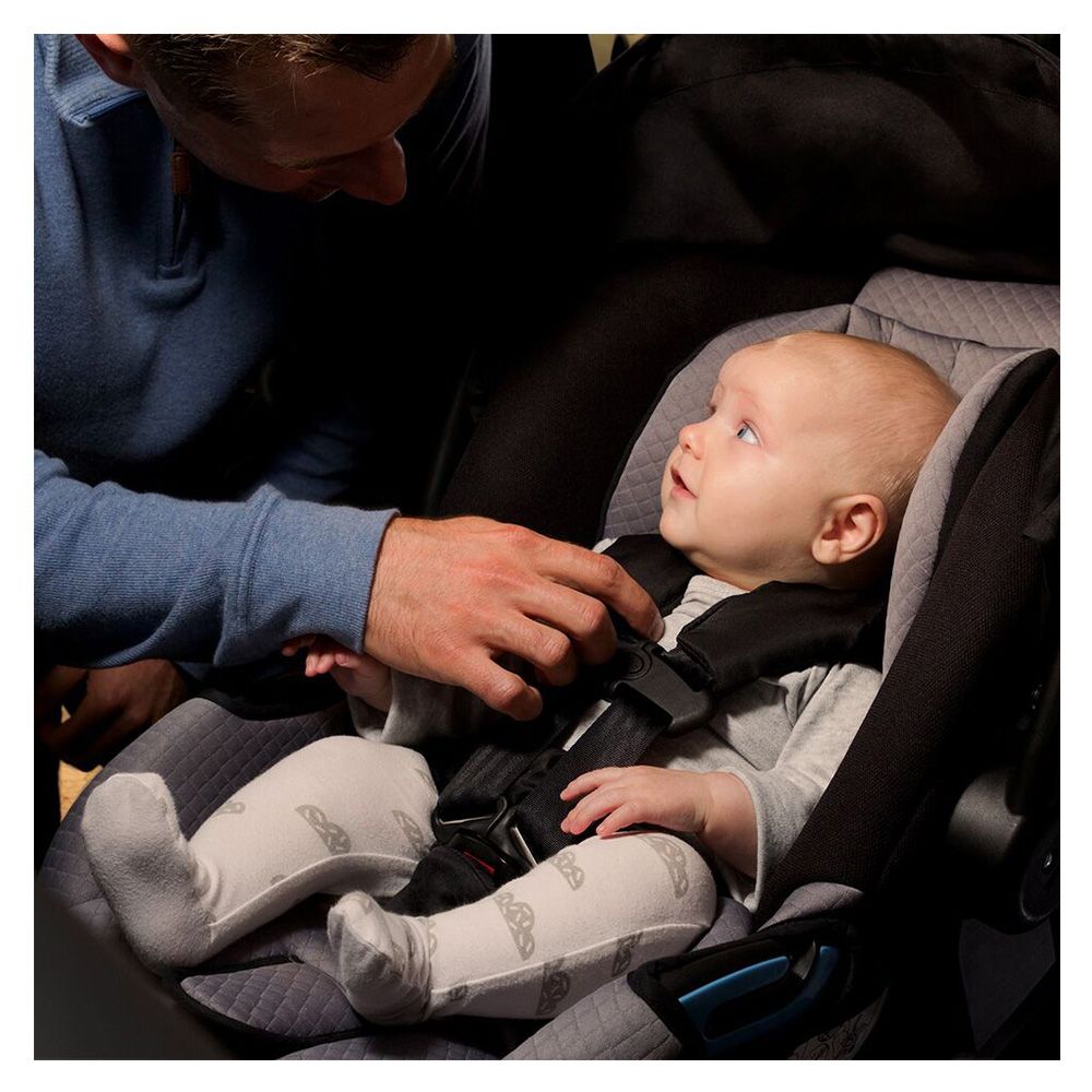 Mountain buggy infant car seat shop