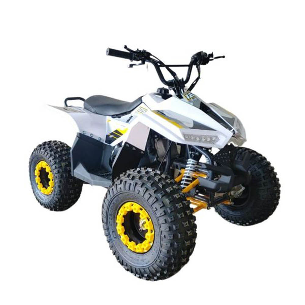 Myts - 80CC Atv Quad Bike Fully Automatic Offraod - Yellow