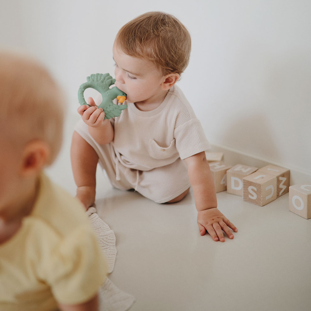 Natruba - Teether Parrot - Light Green