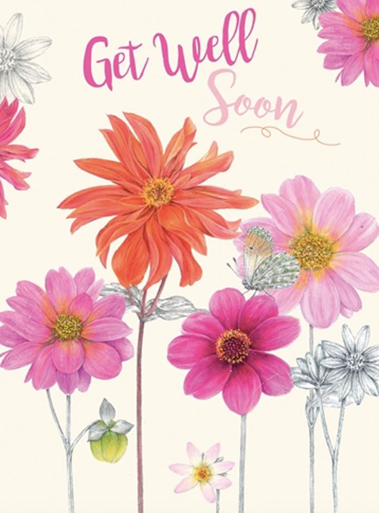 Otter House - Get Well Soon Card