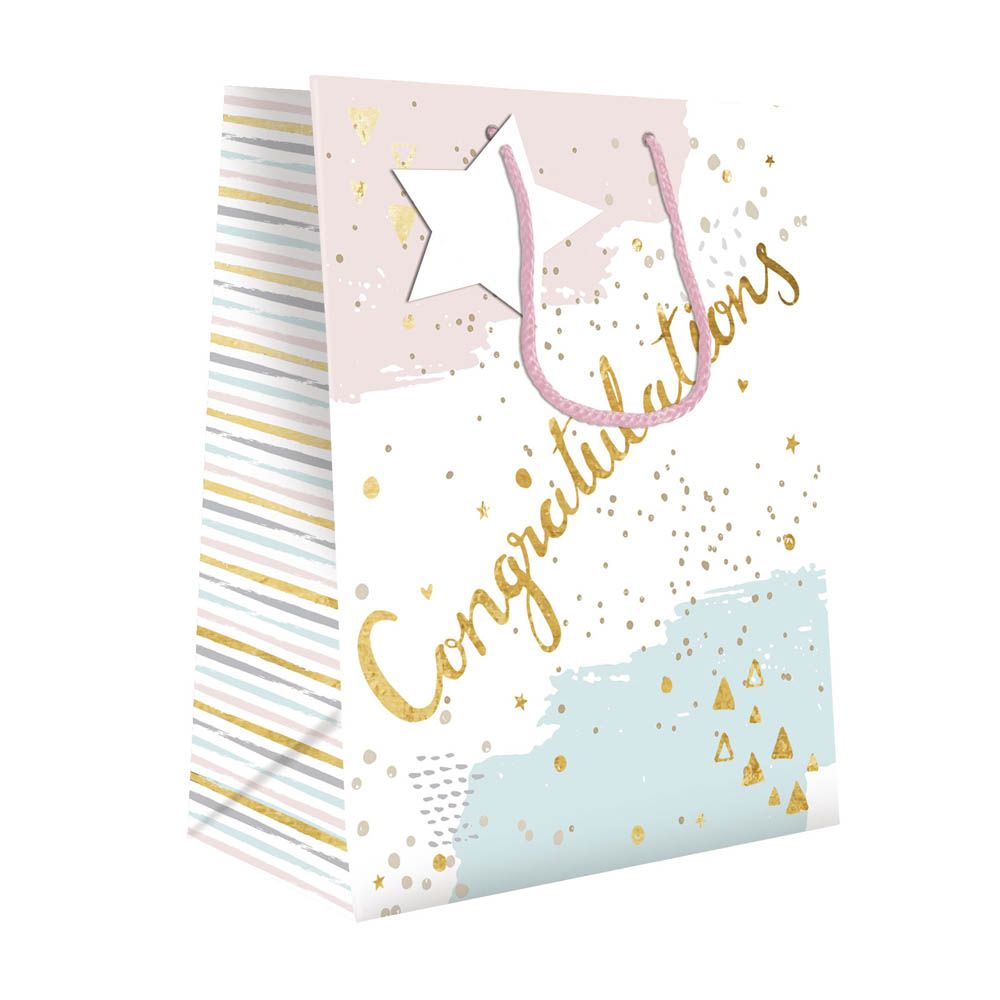 Otter House - Gift Bag Pastel Congratulations - Medium