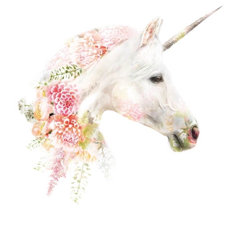 Otter House - Lola Card Collection - Unicorn