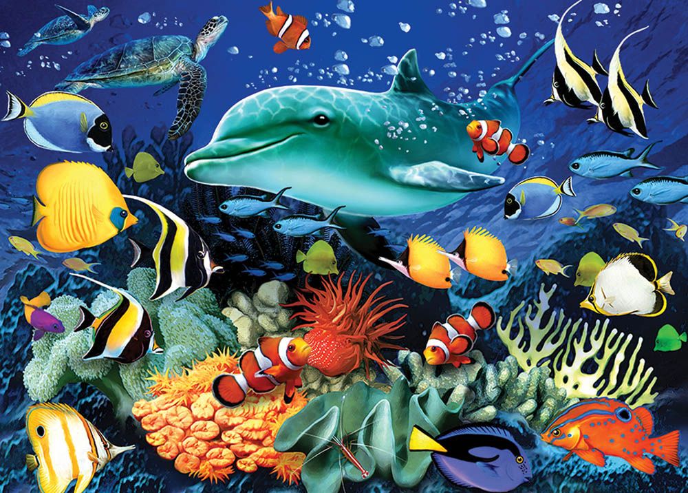 Otter House - Rectangular Jigsaw - Coral Reef