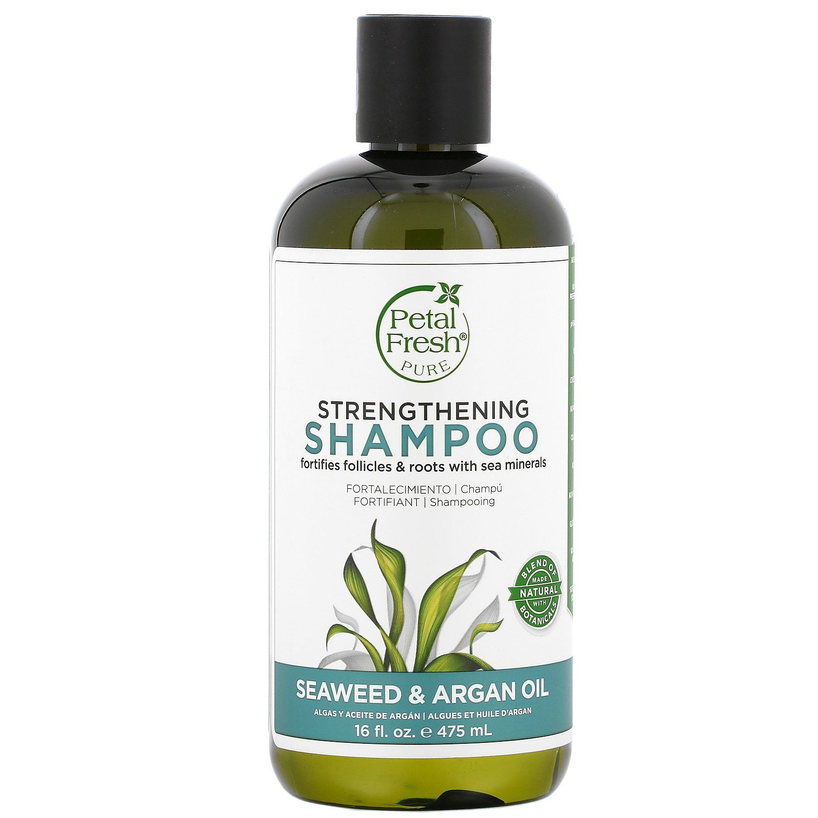 Petal Fresh - Pure, Strengthening Shampoo, Seaweed & Argan Oil, 16 Fl Oz (475 Ml)