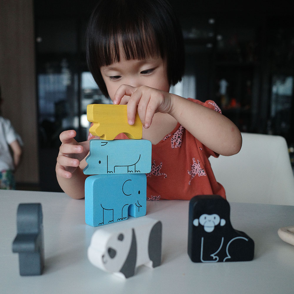 PlanToys - Animal Puzzle Game