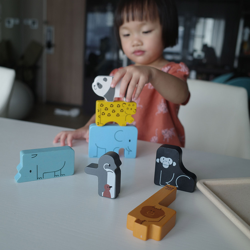 PlanToys - Animal Puzzle Game