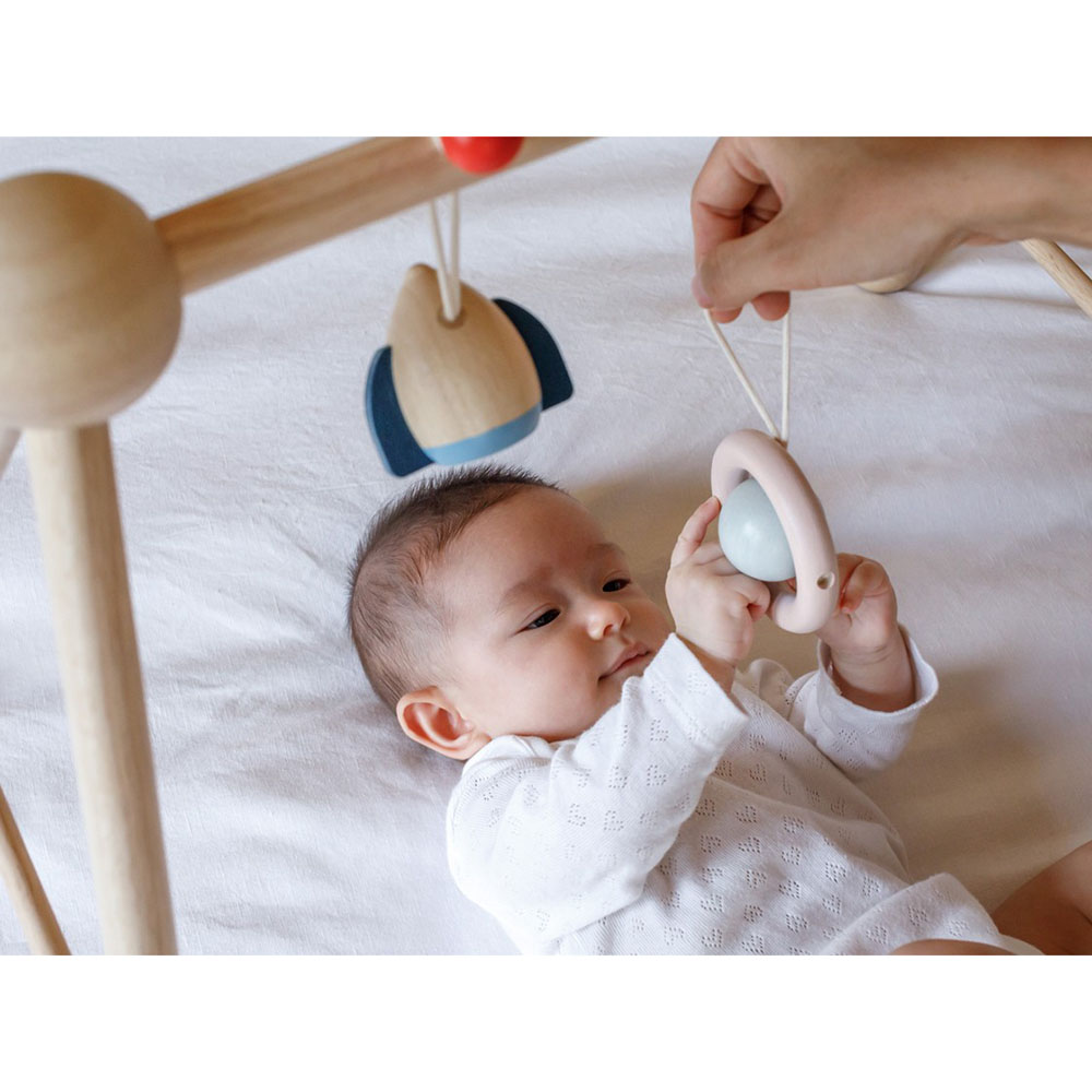 PlanToys - Play Gym - Orchard