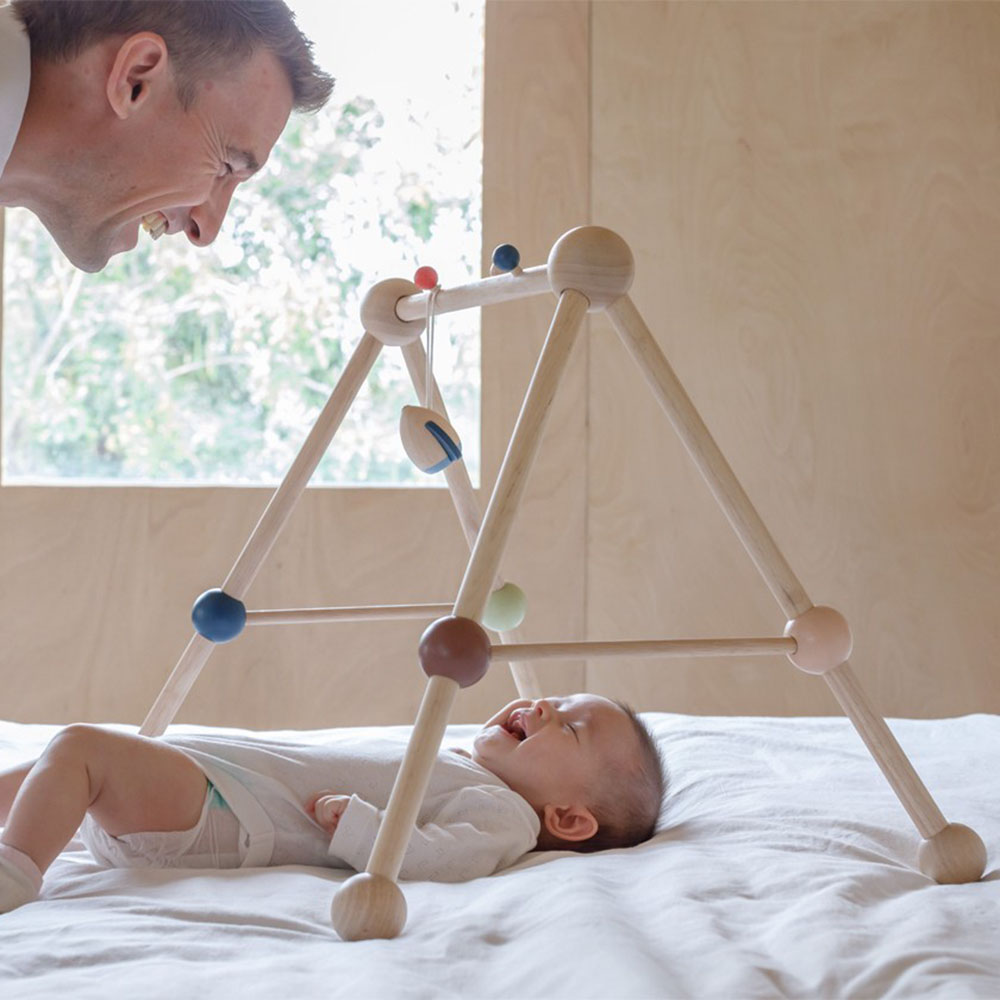PlanToys - Play Gym - Orchard