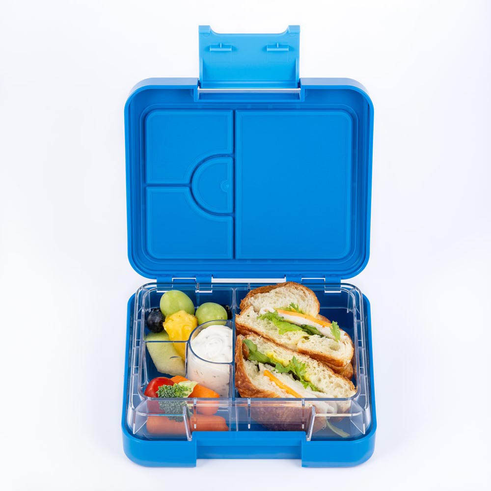 Rainbow Skool - Mini Lunch Box - Koala - Blue