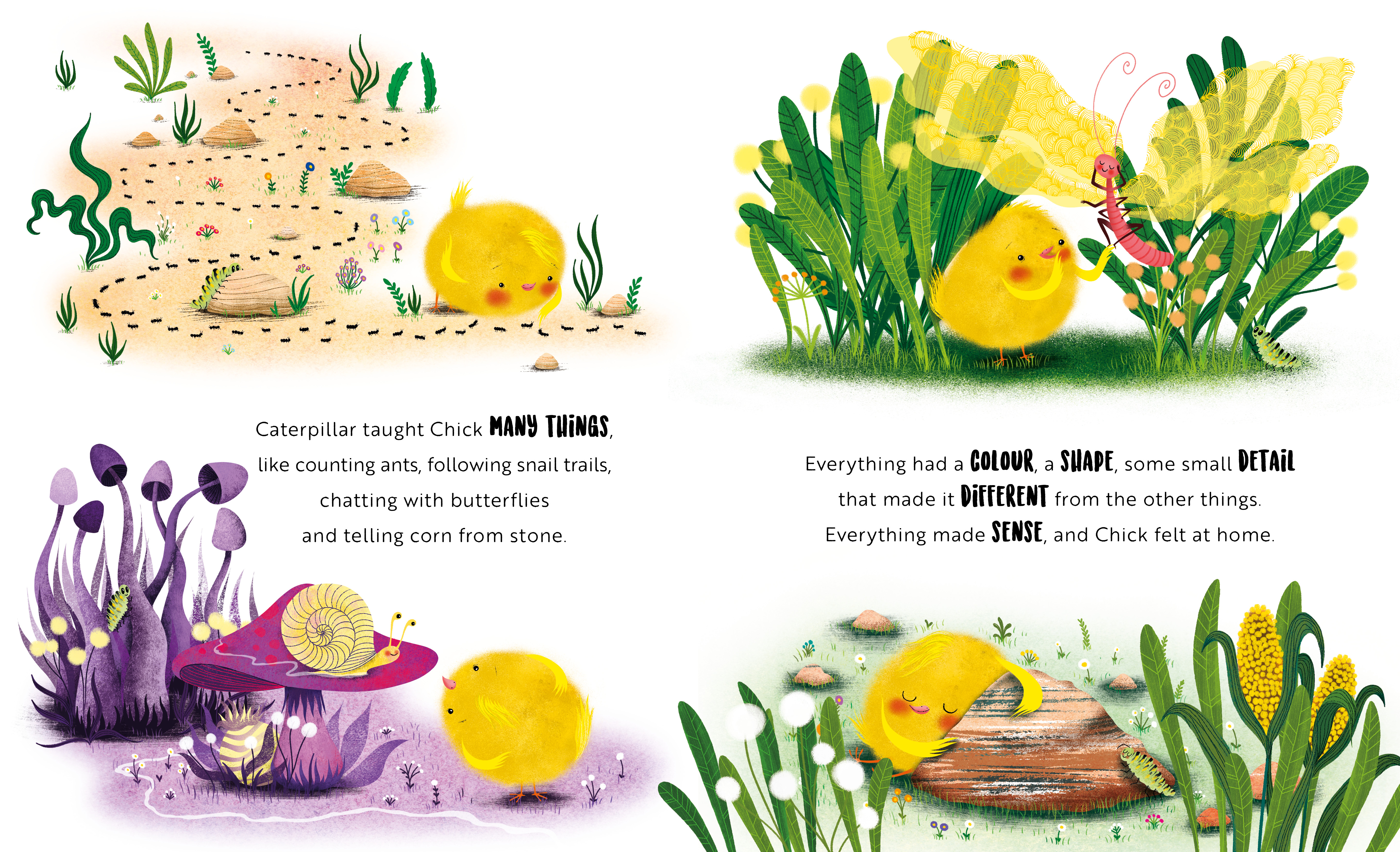 Sassi - Picture Book - Happy As A Chick