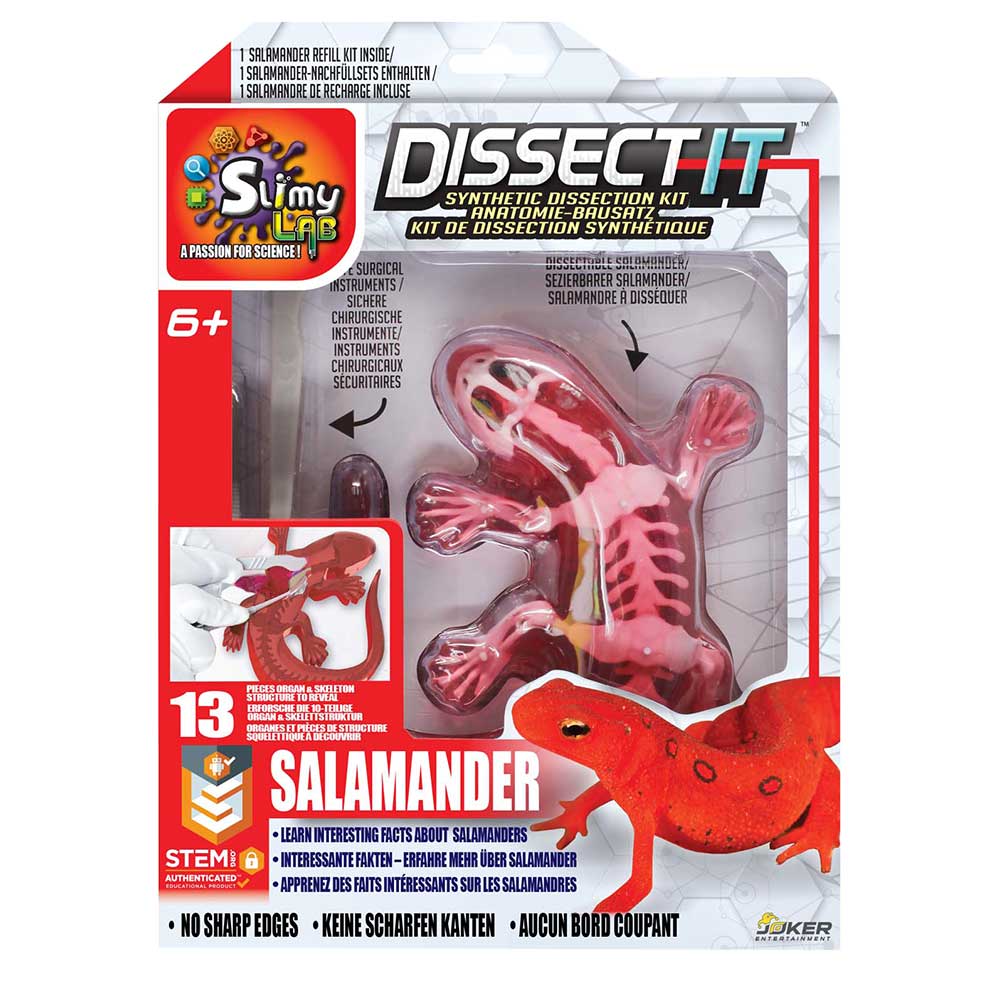 Slimy - Dissect-It Simulated Synthetic Lab Dissection STEM Salamender Toy