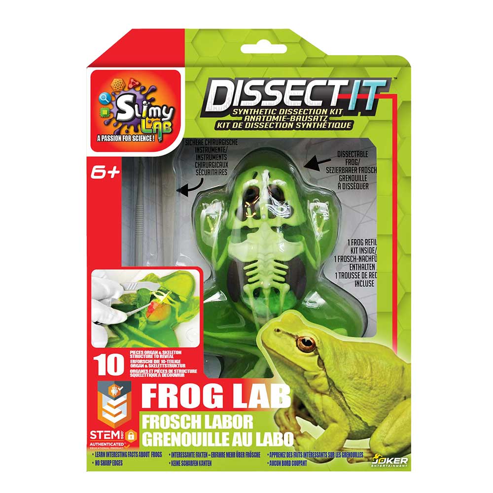 Slimy - Dissect-It Simulated Synthetic Lab Dissection STEM Toy