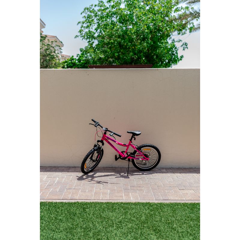 Spartan - 20 inch Alpine Mountain Bicycle - Pink