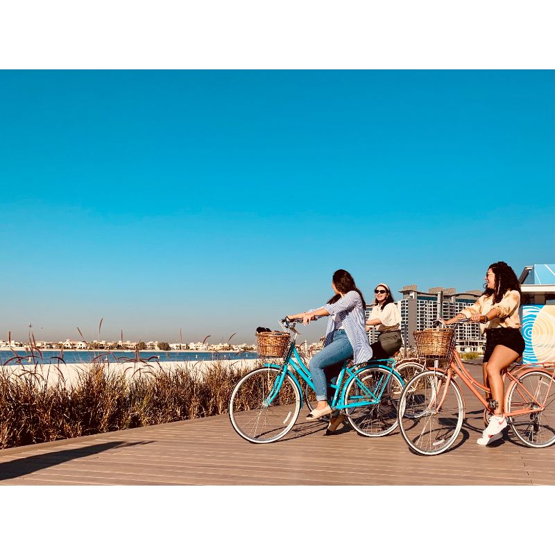 Spartan - 700c Platinum City Bike - Peach