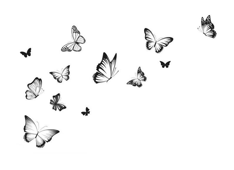 StickieArt Butterflies Black & White Wall Decal - Medium - 50 x 70 cm