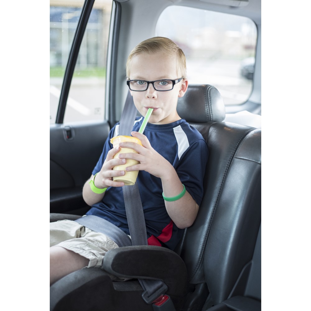 Dinosaur sales car seat
