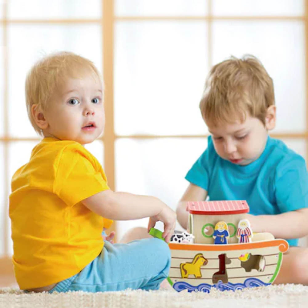 Viga - Shape Sorting - Wooden Noah's Ark