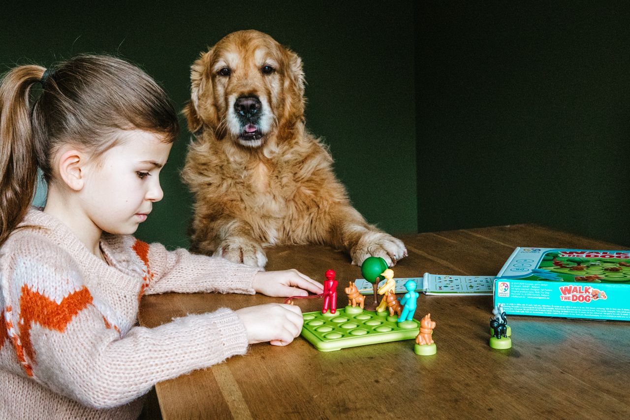 Smartgames - Walk The Dog 