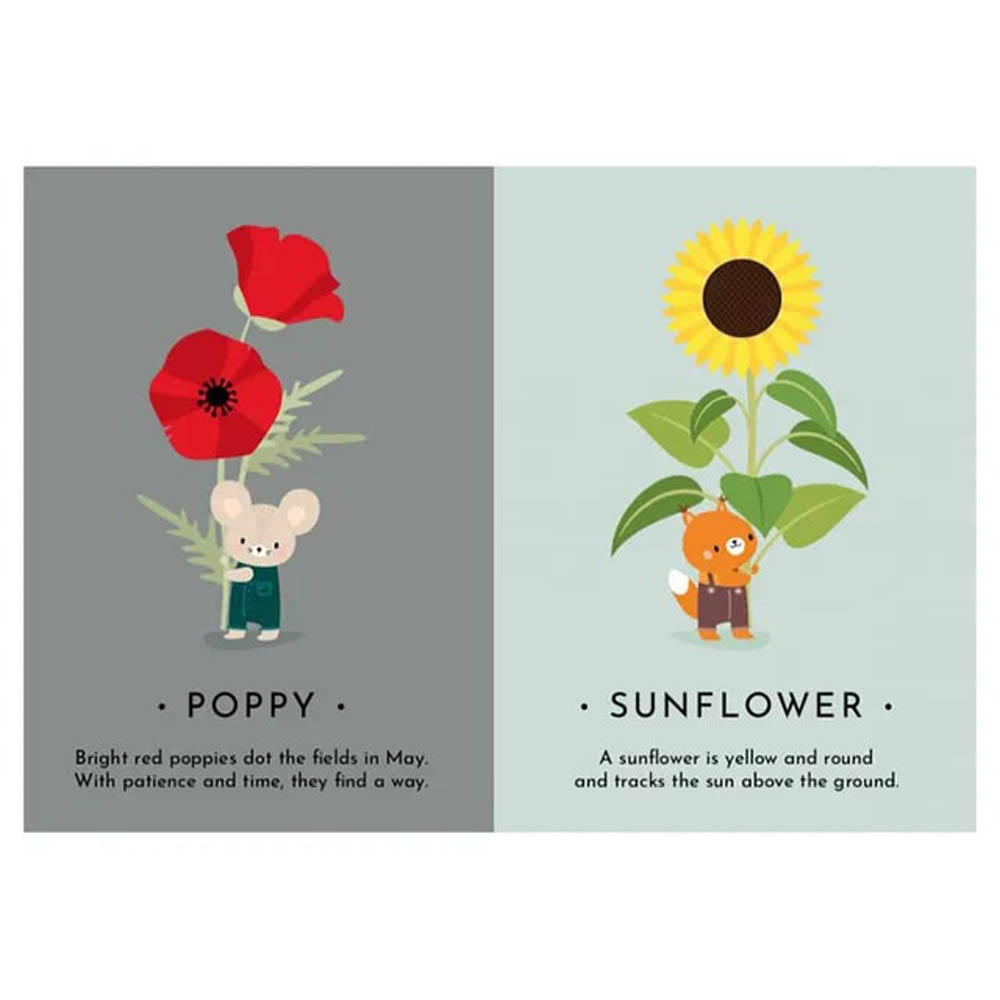 Sassi - My First Cards - Nature