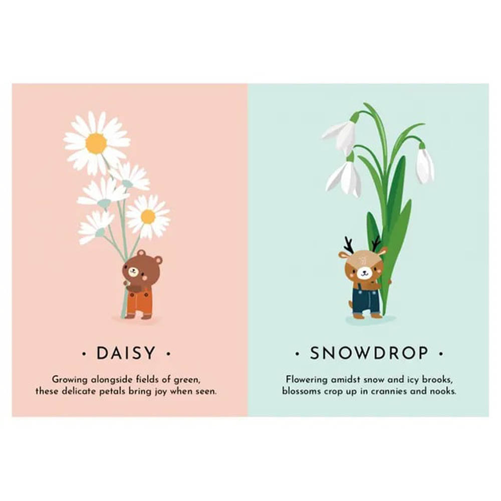 Sassi - My First Cards - Nature