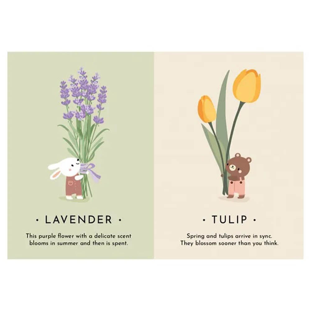 Sassi - My First Cards - Nature