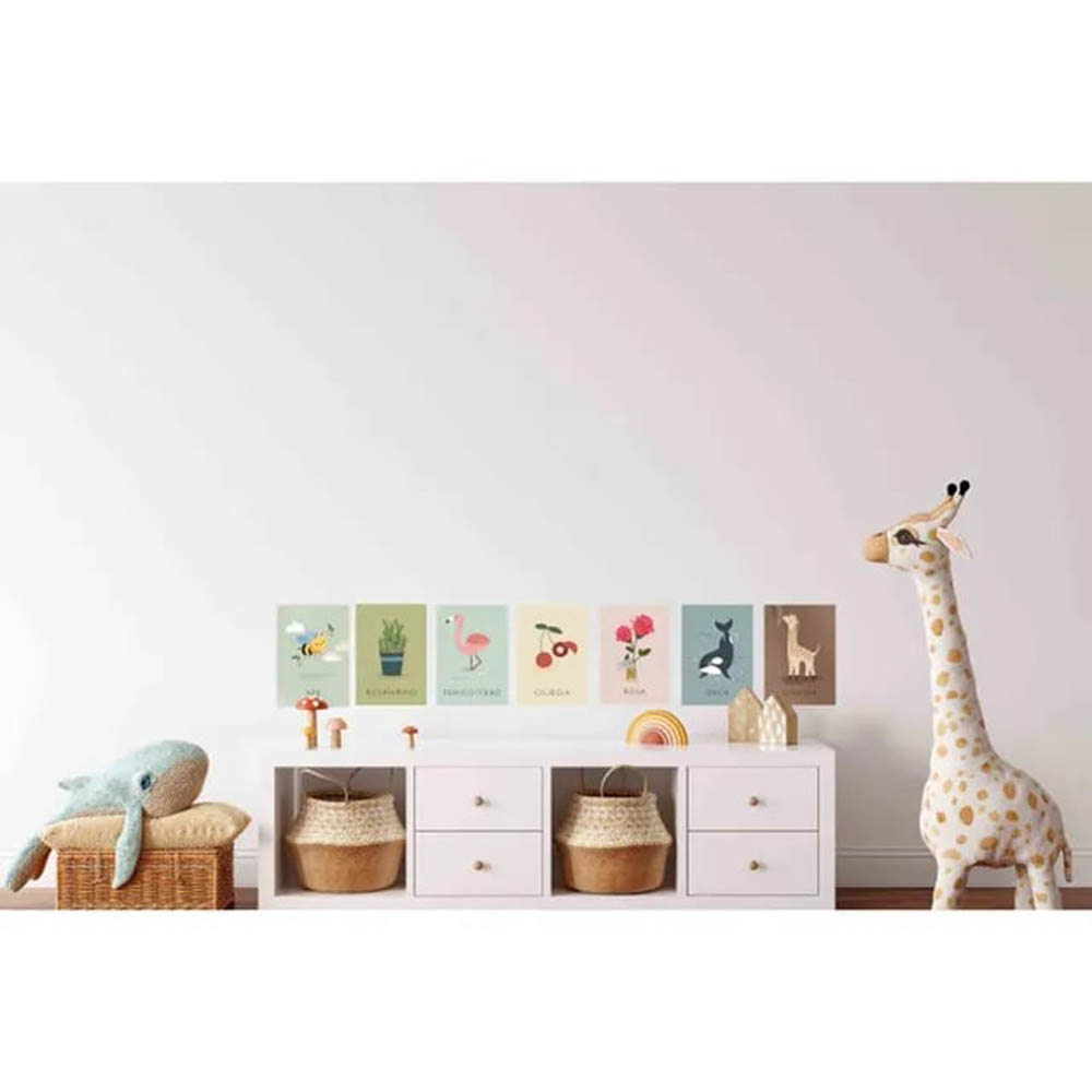 Sassi - My First Cards - Nature